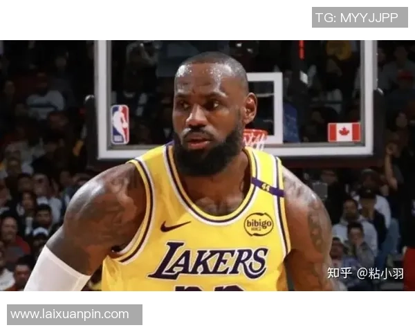 03年湖人对决猛龙的经典时刻回顾与赛季精彩瞬间分析